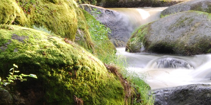 Urlaub im Waldviertel Steine