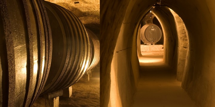 wine cellar Retz